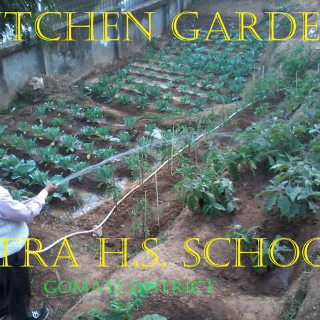 Kitchen Garden II